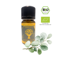 Eukalyptus Öl Bio von Innere Ruhe