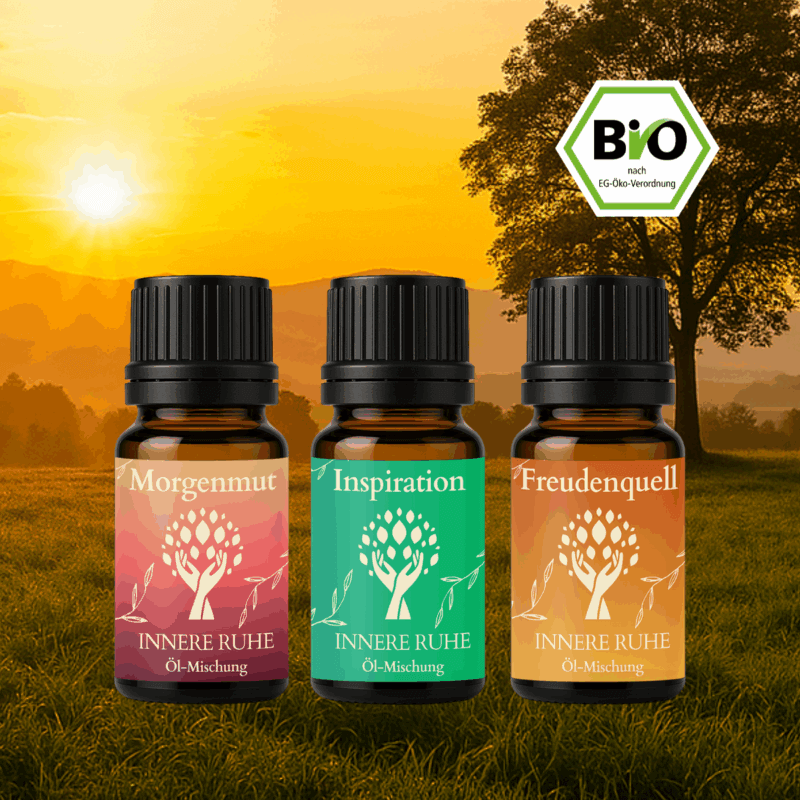 Öl-Set Guter Start – Energie & Motivation