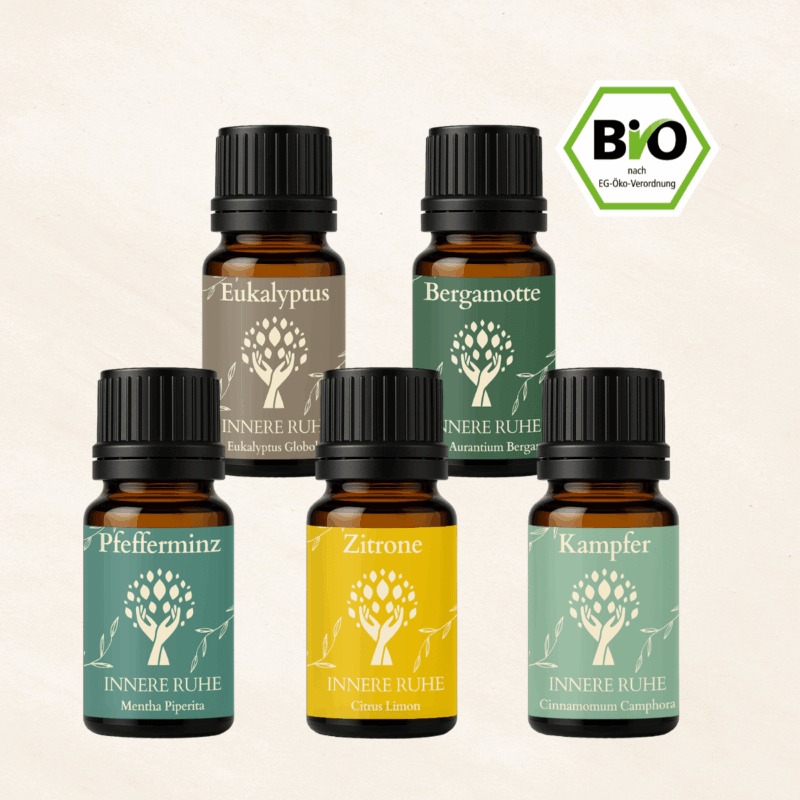 Öl-Set Klarer Kopf – Frische & Konzentration