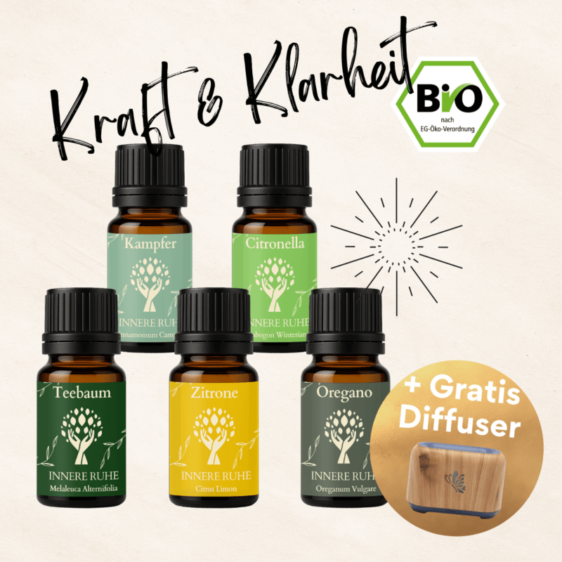 Kraft & Klarheit – Reinigungs-Bundle